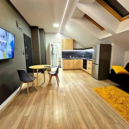 Na 102 Dwupokojowe 公寓 Iława